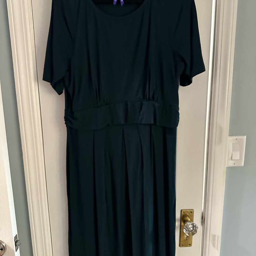 Seraphine Maternity & Nursing Dress